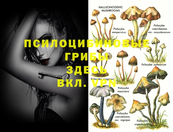 MESCALINE Саяногорск