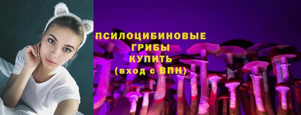 не бодяженный Абаза