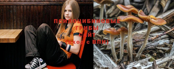 не бодяженный Абинск