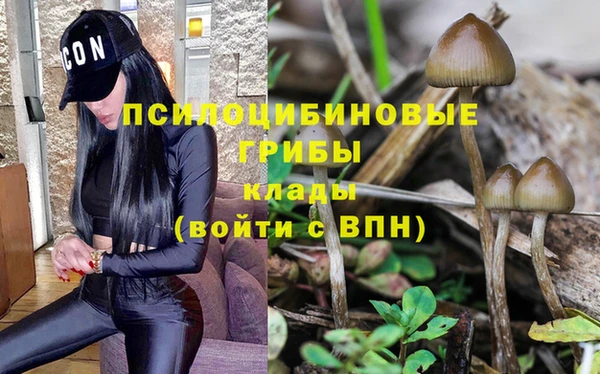 не бодяженный Абаза