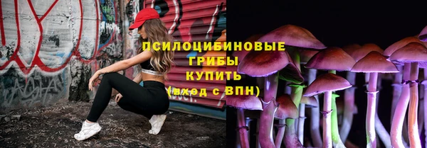 не бодяженный Абаза
