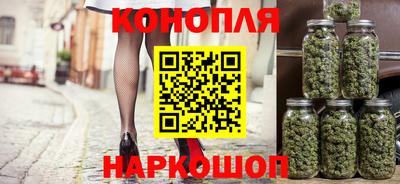 гидра Брянск
