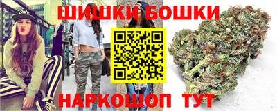 гидра Брянск