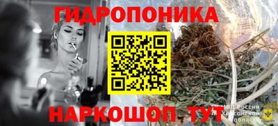 гидра Брянск