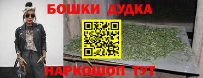 гидра Брянск