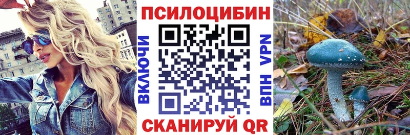 shop официальный сайт  Красноперекопск  Галлюциногенные грибы Psilocybine cubensis 