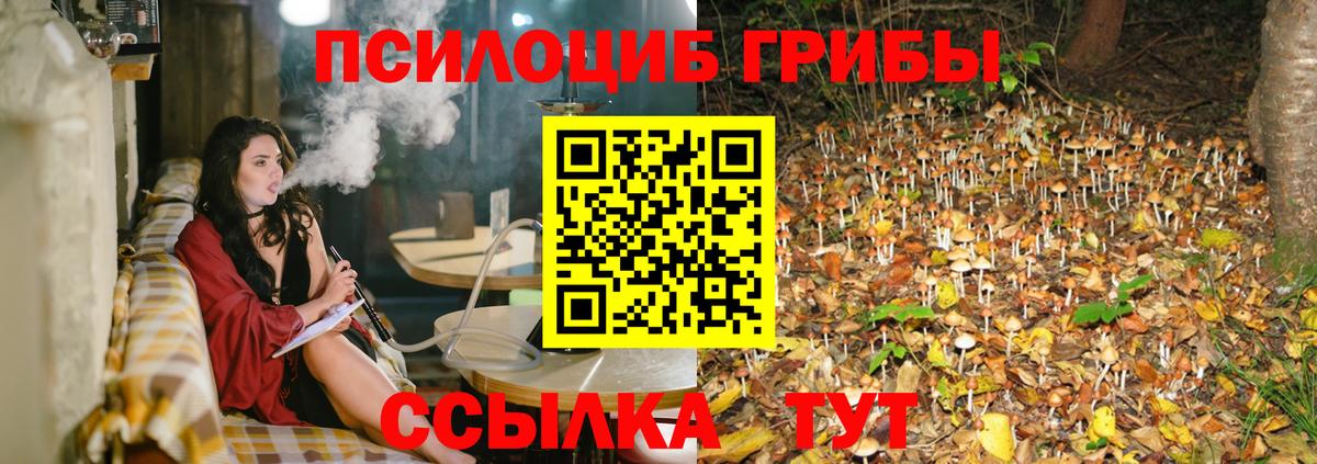 Псилоцибиновые грибы мухоморы  Вход с VPN  Красноперекопск 